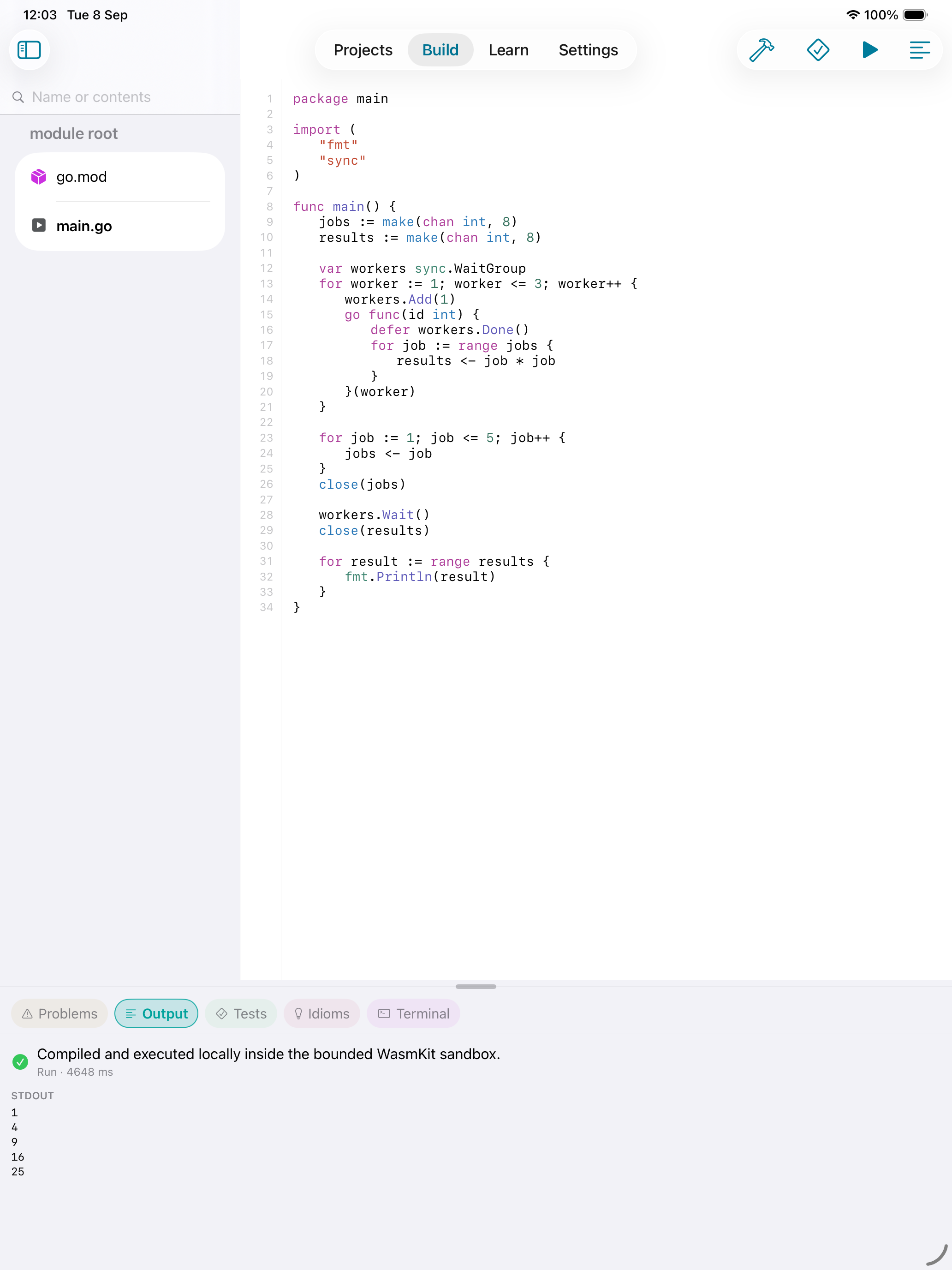 iOS Simulator screenshot of GopherForge on iPad showing a Go worker-pool program, the module file list and the Output panel reporting a successful local run