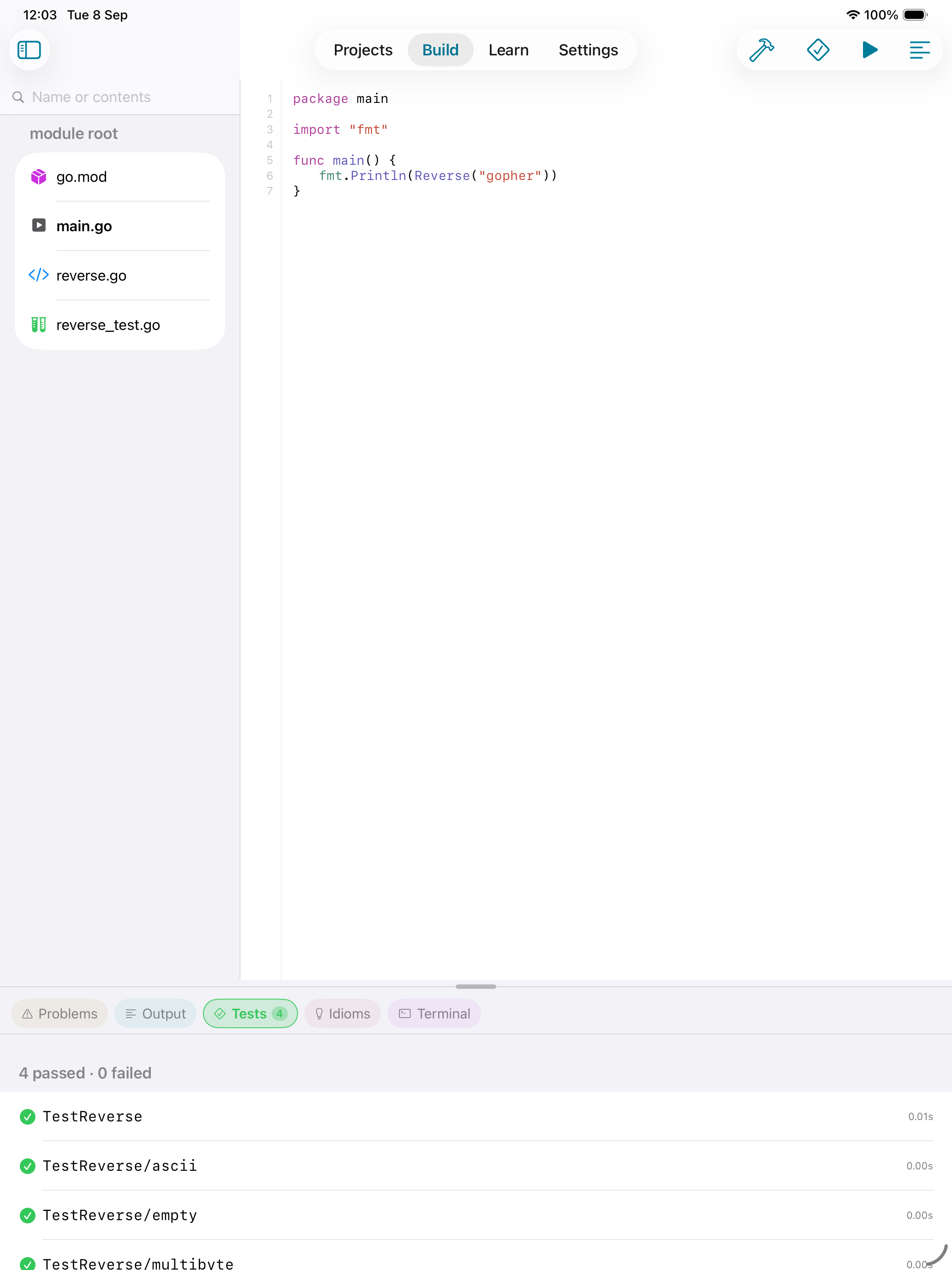 iOS Simulator screenshot of GopherForge on iPad showing the Tests panel with test results beside the Go source editor